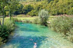 Un bagno nel fiume Korana, Plitvice - A valle della confluenza con il Plitvice (da cui prende nome l'intera area protetta e dove si trova anche la cascata più alta di tutto il parco ...