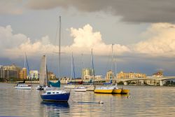 La baia di Sarasota lungo la costa nord-occidentale della Florida, negli USA - © SAJE / Shutterstock.com