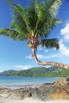 Baia di beau Vallon Seychelles - © SueC / Shutterstock.com