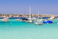 Estany des Peix, nel nord di Formentera (Baleari, Spagna), fa parte della località di La Savina. E' un'insenatura di 4 km di perimetro, collegata al mare aperto da uno stretto ...