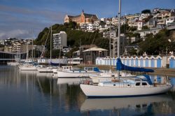 La Baia di Wellington, Nuova Zelanda, e le sue barche a vela ormeggiate. Sullo sfondo il Monte Victoria, con una miriade di case dai tetti a punta e la chiesa e monsatero di St.Gerard - © ...