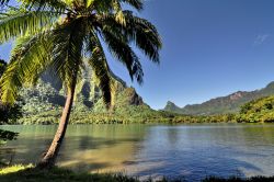 Baia nell'isola di Moorea, in Polinesia Francese