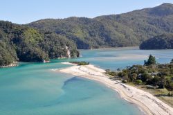 Baia solitaria all'interno del Parco Nazionale di Abel Tasman, nella parte settentrionale dell'isola del sud della Nuova Zelanda - © NCG / Shutterstock.com