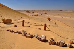 Balena fossile vicino al centro visitatori del Parco Nazionale di Wadi al-Hitan, uno dei patrimoni dell'UNESCO dell'Egitto - In collaborazione con I Viaggi di Maurizio Levi