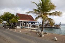 Bar sul litorale di Kralendijk, l'isola è Bonaire, nei Caraibi meridionali  - © V Devolder / Shutterstock.com 