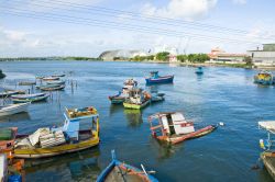 Barche nel Rio Cabibaribe a Recife, Brasile - © Vitoriano Junior / Shutterstock.com