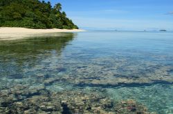 Barriera corallina dell'isola di Euakafa una delle 163 isole dell'arcipelago di Tonga - © Mari Anuhea / Shutterstock.com