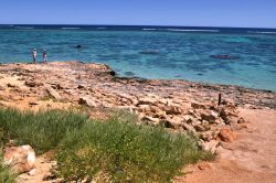 Barriera corallina Ningaloo Reef Exmouth Australia ...