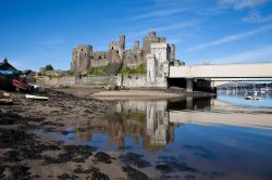 Bassa marea nel fiume Conwy in Galles: il paesaggio qui è dominato dal grande Castello medievale (Conway Castle)  - © Gail Johnson / Shutterstock.com