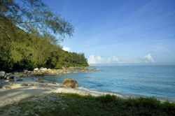 Batu Ferringhi Beach, è forse la spiaggia più conosciuta ed apprezzata di  Penang in Malesia - © AdrianCheah / Shutterstock.com