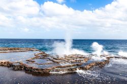 Blowholes, i gayser marini dell'isola di Tongatapu, arcipelago di Tonga  - © Naska Raspopina / Shutterstock.com