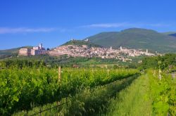 Panorama sul borgo di Assisi e sul monte Subasio. Nell'Appennino umbro marchigiano si eleva per 1.290 metri questo rilievo montuoso sulle cui pendici occidentali sorgono le città ...