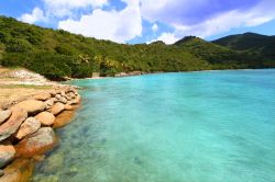 Brewers Bay Tortola : il mare delle Isole Vergini Britanniche è molto famoso tra gli appassionati di snorkeling ed immersioni subacquee - © Jason Patrick Ross / Shutterstock.com ...