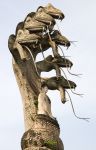 Raffigurazioni del Buddha e di striscianti esemplari di cobra al Wat Khaek di Nong Khai - © Artur Bogacki / Shutterstock.com