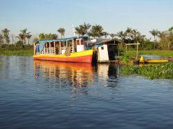 Cacau Pirera, ovvero una casa galleggiante a Manaus - © guentermanaus / Shutterstock.com