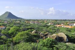 Cactus fotografati dalla roccia di Casibari, uno dei punti panoramici di Aruba - © meunierd / Shutterstock.com