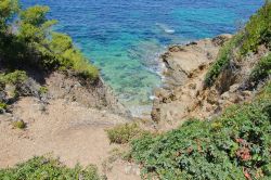 Caletta solitaria dell'Isola di Porquerolles, Francia - © SWeskerbe / shutterstock.com