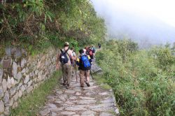 Camminando sul sentiero dell'Inca Trail, Perù - Salite ripide e passi di montagna ma anche percorsi in piano da intervallare gli uni agli altri. E poi paesaggi che variano in continuazione ...