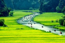 Campi di riso a Tam Coc, Ninh Binh, Vietnam: questa fotro rende al meglio l'idea di cosa significhi visitare Tam Coc. La lenta processione delle imbarcazioni lungo il fiume Ngo Dong compie ...