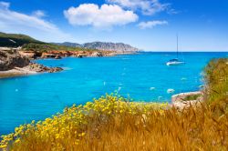 Canale d'en Marti, il piccolo "fiordo" che conduce alla Playa Lleo di Ibiza. Località isole Baleari, Spagna - © holbox / Shutterstock.com