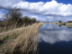 Scorcio panoramico sul canale del Devon, a sud di Exeter - A due ore e mezza da Londra, questa località del Devon offre agli amanti della natura una campagna bellissima, foreste e nelle ...