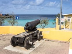 Uno storico cannone a Kralendijk, la capitale di Bonaire  - © Gail Johnson / Shutterstock.com