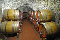 Le botti della cantina nella storica Casa Vinicola Nino Negri a Chiuro in Valtellina