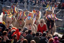 Carnevale di Lubiana, le tipiche maschere Slovenia - © Maljalen / Shutterstock.com =