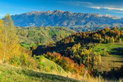 Scenari estivi nei Carpazi, nei dintorni di Bran in Romania  - © Gaspar Janos / Shutterstock.com