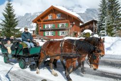 Passeggiata in calesse a Engelberg, Svizzera - E per chi in montagna a sci e snowboard preferisce passeggiate all'aria aperta? Fra le più caratteristiche ve ne consigliamo una da ...