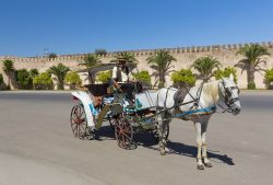 Carrozza turistica pronta all'escursione ...