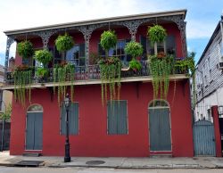 Casa nel French Quarter di New Orleans - Dal balcone di questa splendida dimora ospitata nella capitale della Louisiana si affacciano piante e decorazioni floreali che ne ornano la facciata ...