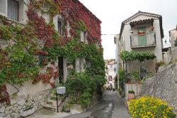 Casa fiorita nel centro storico di  Villeneuve Loubet