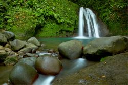 Cascade aux Ecrevisses isola di Guadalupa (Guadeloupe), nei territori d'oltremare francesi. E' sicuramente una delle cascate più facili da vedere, dato che si cammina per soli ...