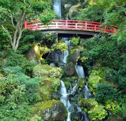 Una cascata all'interno del Parco del Castello di Hirosaki in Giappone - © SeanPavonePhoto / Shutterstock.com