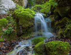 Cascata a Nidri sull'isola di Lefkada, Grecia - Superato il villaggio di Rachi inizia il canyon di Dimosari fra alti alberi che ombreggiano il percorso da effettuare per raggiungere le cascate ...