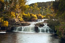 Cascata presso il Cradle Mountain Lodge in Tasmania - © 3523studio / Shutterstock.com