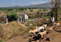 Cascate Tissisat a sud del Lago Tana, Etiopia ...