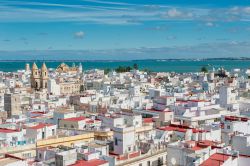 Fotografia della case bianche di Cadice la città costiera e porto in Andalusia - © javarman / Shutterstock.com