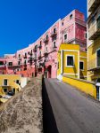 A Ventotene (Latina, Lazio), la piccola isola dell'arcipelago Ponziano, alcune strade sono rallegrate dai colori accesi delle case, che generano un contrasto gioioso col blu del cielo e ...