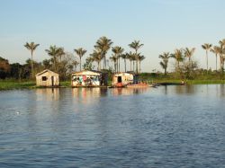 Case galleggianti nei dintorni di  Manaus in Brasile - © guentermanaus / Shutterstock.com