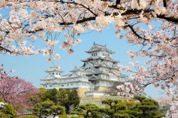Castello di Osaka (Himeji jo) incorniciato dalla ...
