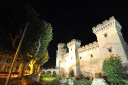 Il Castello di Tarascon in una foto notturna della città della Provenza in Francia