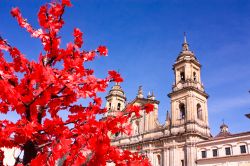 La Cattedrale Metropolitana dell'Immacolata fotografata in autunno a Bogotà, Colombia - Architettura in stile coloniale e dettagli interni di grande prestigio per questo edificio ...