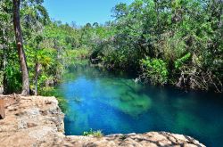 Il Cenote Escondido,Tulum Riviera Maya (Quintana Roo) Messico. I Maya spesso costruivano i loro insediamenti vicino a queste magnifiche riserve d'acqua dolce, che costellano la penisola ...