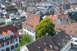 Centro di Basilea fotografato dalla cattedrale - Dall'alto della Munster di epoca medievale, turisti e visitatori possono godere di un'impareggiabile vista sul centro storico della città ...