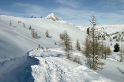 Cesana Torinese:con i suoi 1376 metri di altitudine la stazione di villeggiatura assicura pgni anno un magnifco paesaggio invernale al termine della Val di Susa, nel Piemonte orientale - © ...