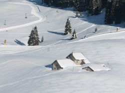 Chalet sulle nevi di Folgaria - © Folgariaski.com