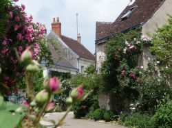 Chedigny, splendido villaggio nei dintorni di Loches, lungo la Valle della Loira - Foto ©JS Mutschler - CRT Centre Valde Loire