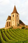 I vigneti di  Hunawihr circondano questa splendida chiesa fortificata dell'Alsazia, in Francia - © PHB.cz (Richard Semik) / Shutterstock